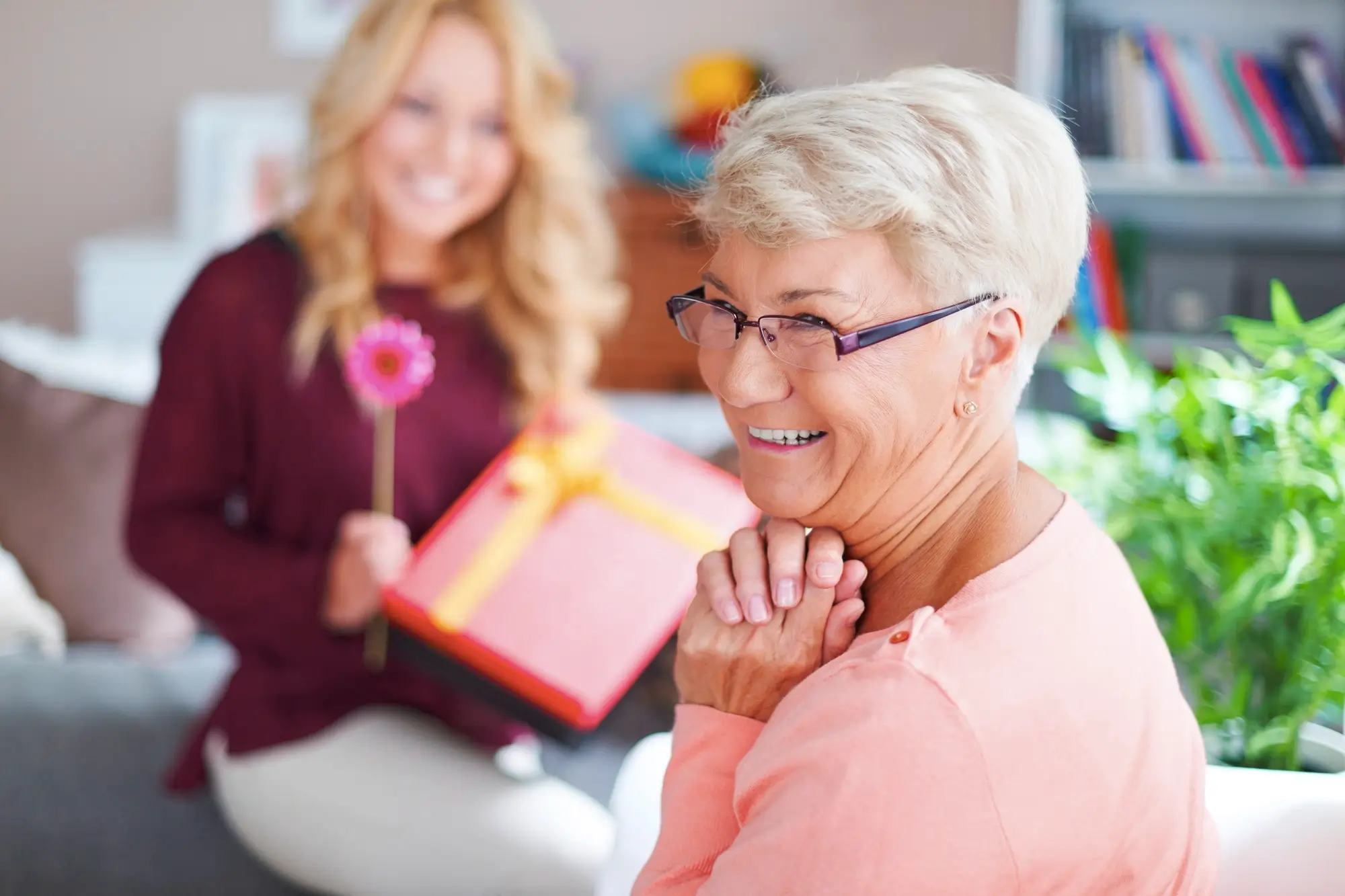 Neta dando um presente para avó
