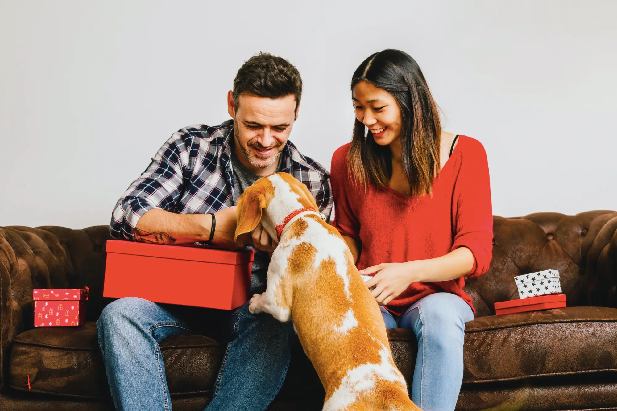 Presentes para quem gosta de Cachorro