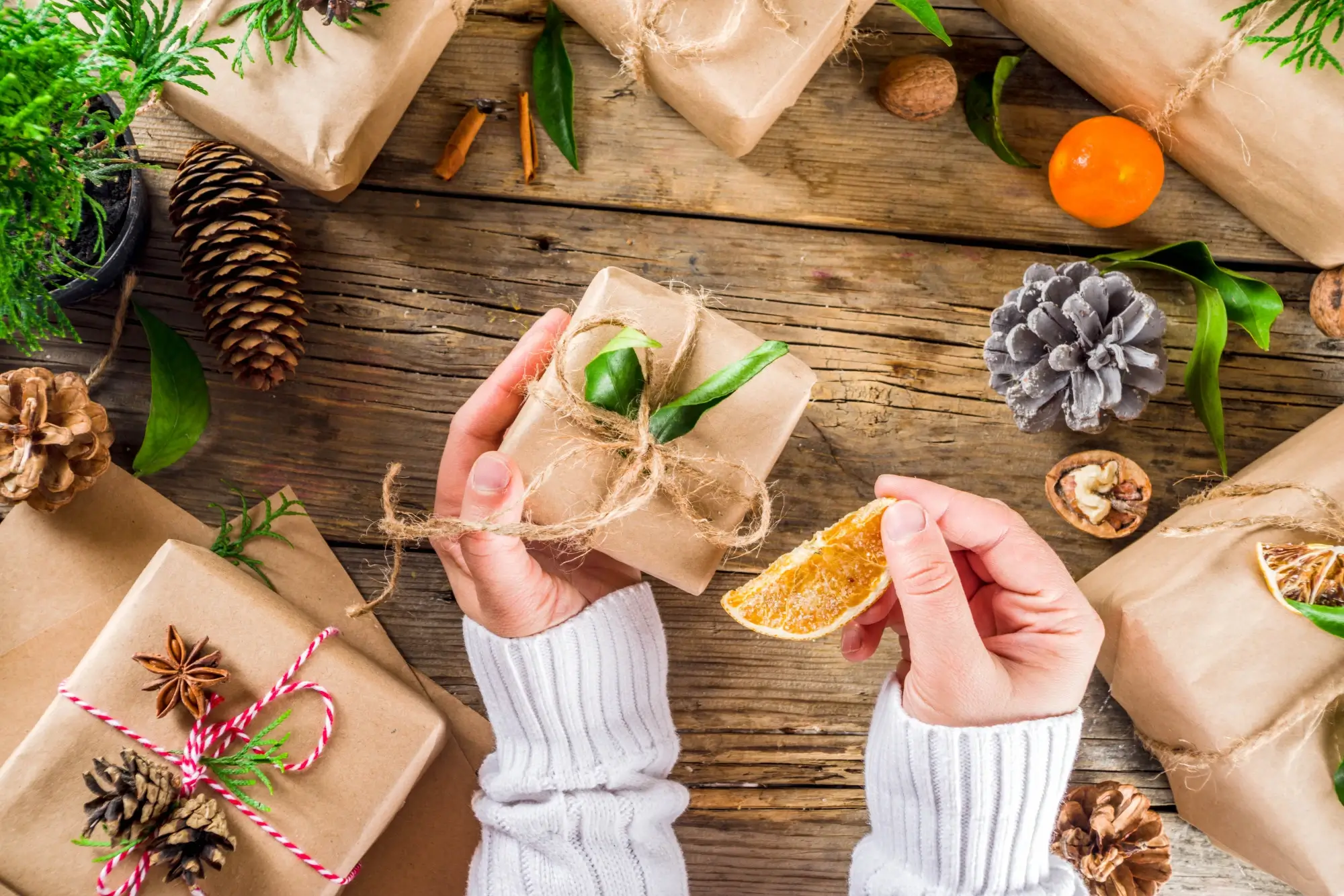 Mãos de uma mulher vegana segurando um presente